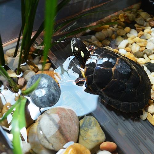 西藏塑料家用電器尺寸標(biāo)準(zhǔn)_西藏塑料家用電器尺寸標(biāo)準(zhǔn)是多少